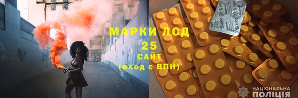 шишки Алексин