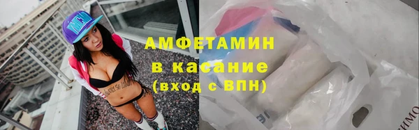 сатива Абинск