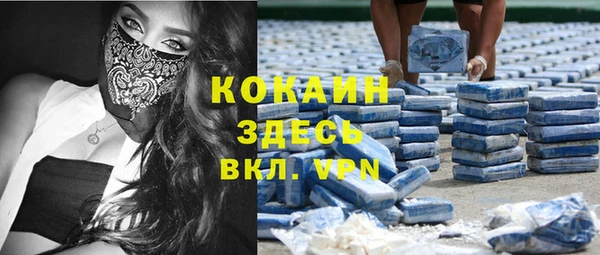 сатива Абинск