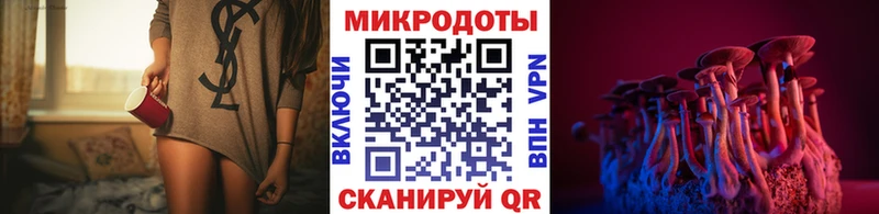 продажа наркотиков  ссылка на мегу ссылка  площадка клад  Ивангород  Псилоцибиновые грибы Magic Shrooms 